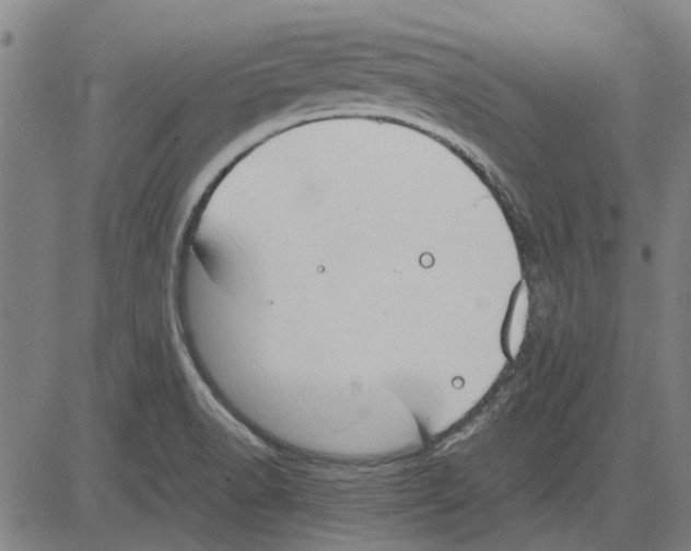 X0000083661518200703121758