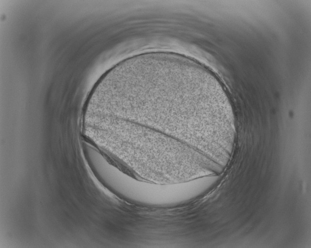 X0000083661519200703121758