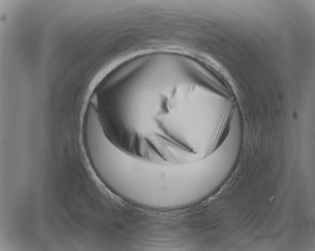 X0000083661520200703121758