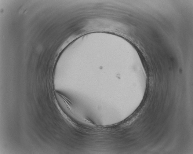 X0000083661521200703121758