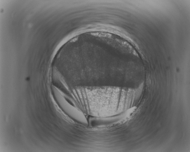 X0000083661522200703121758