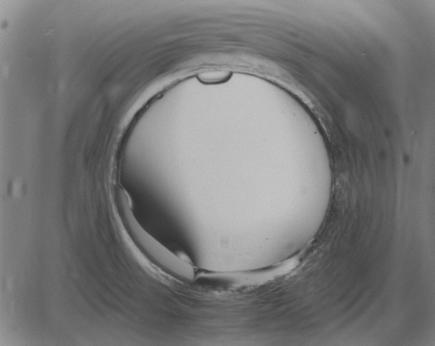 X0000083661523200703121758