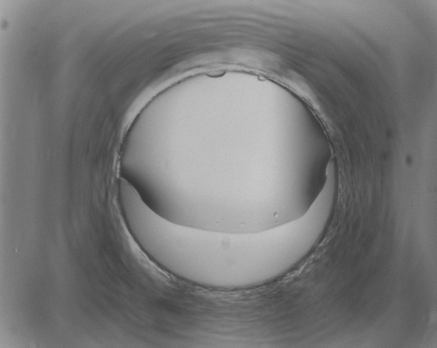 X0000083661524200703121758