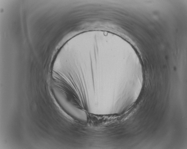 X0000083661525200703121758