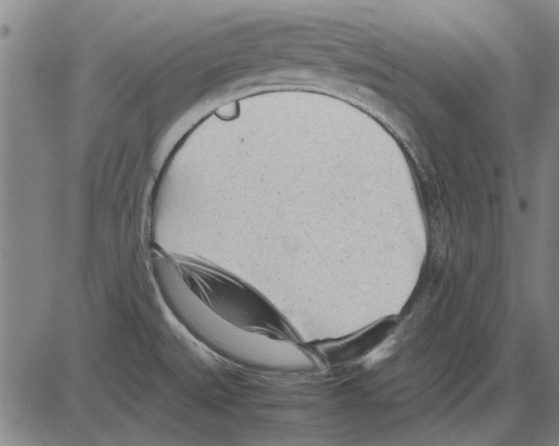 X0000083661527200703121758