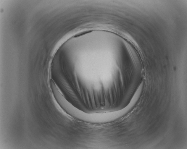 X0000083661528200703121758