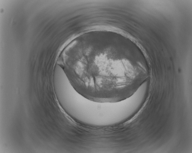 X0000083661529200703121758