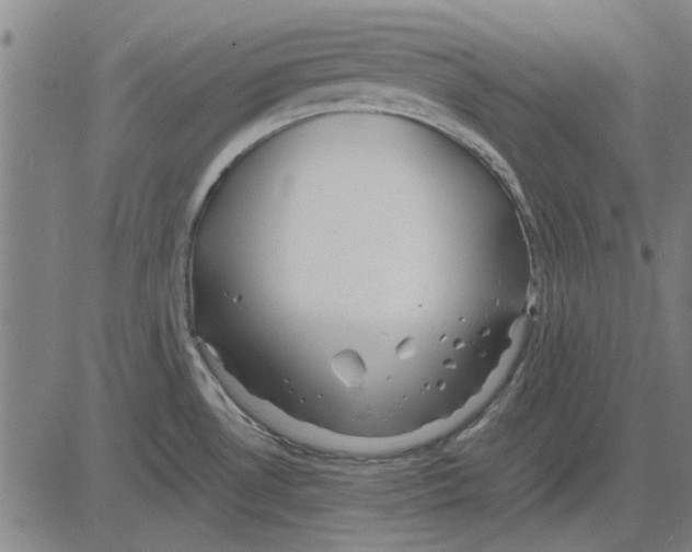 X0000083661530200703121758