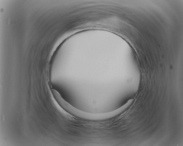 X0000083661531200703121758