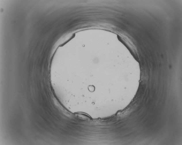 X0000083661532200703121758