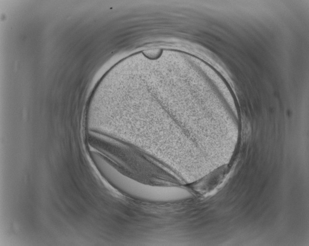 X0000083661533200703121758