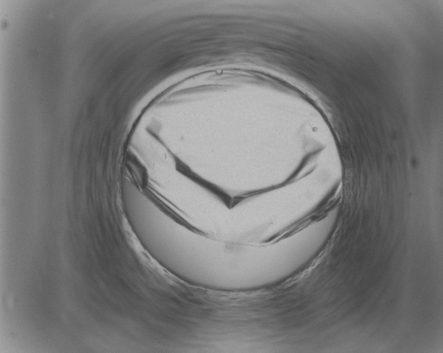 X0000083661534200703121758