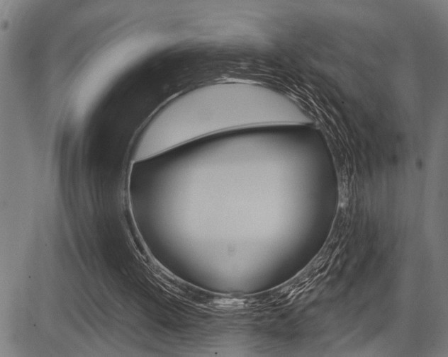X0000083970052200702160738