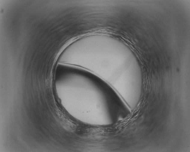 X0000083970100200702160738