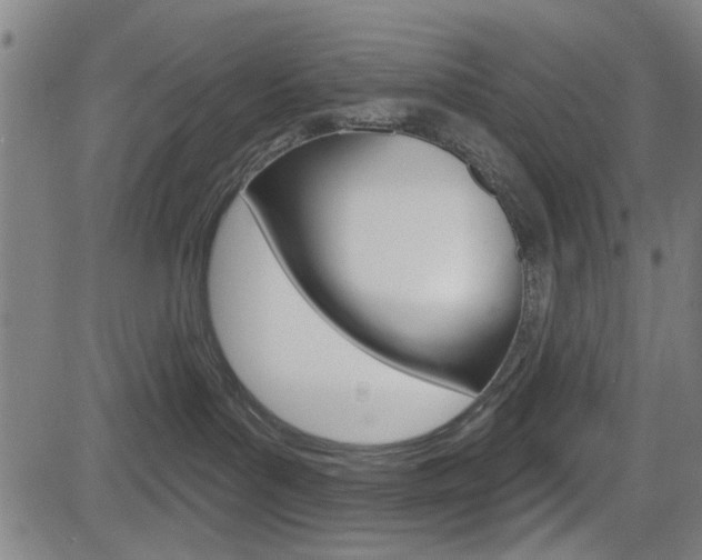 X0000083970143200702160737