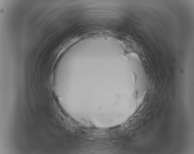 X0000083970146200702160736