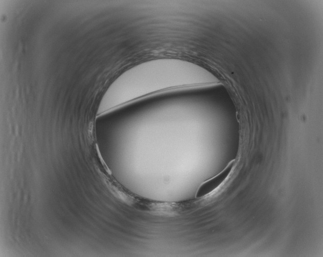 X0000083970192200702160737