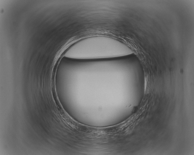X0000083970195200702160736