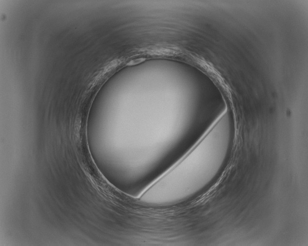X0000083970201200702160736