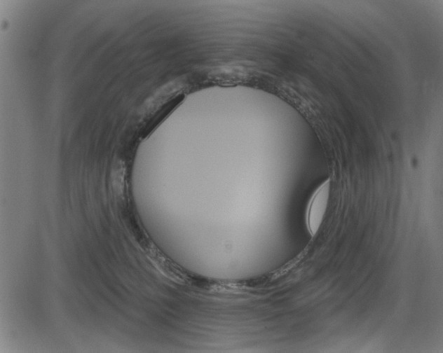 X0000083970231200702160735
