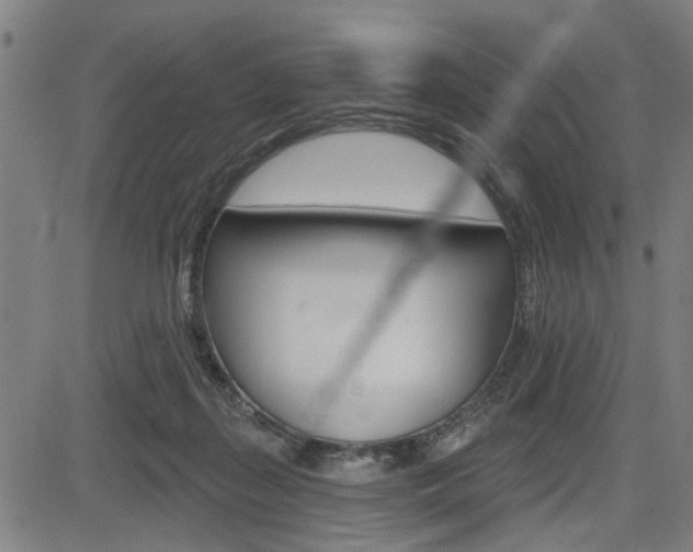 X0000083970267200702160735