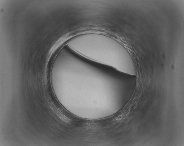 X0000083970296200702160734