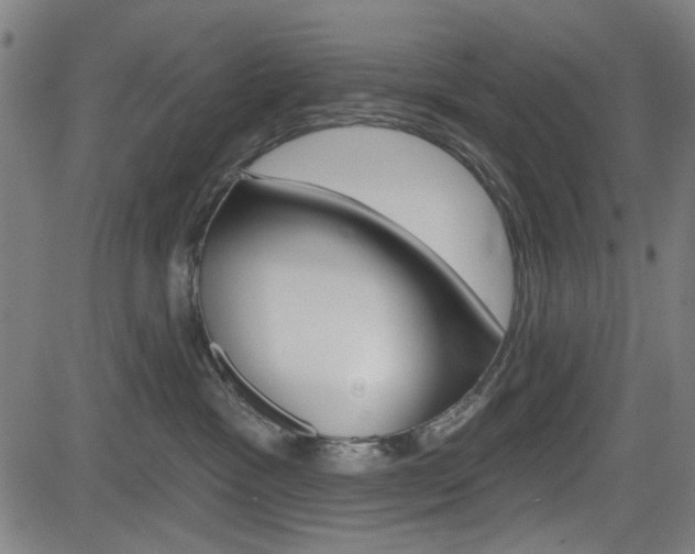 X0000083970333200702160734