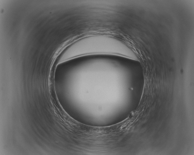 X0000083970340200702160733