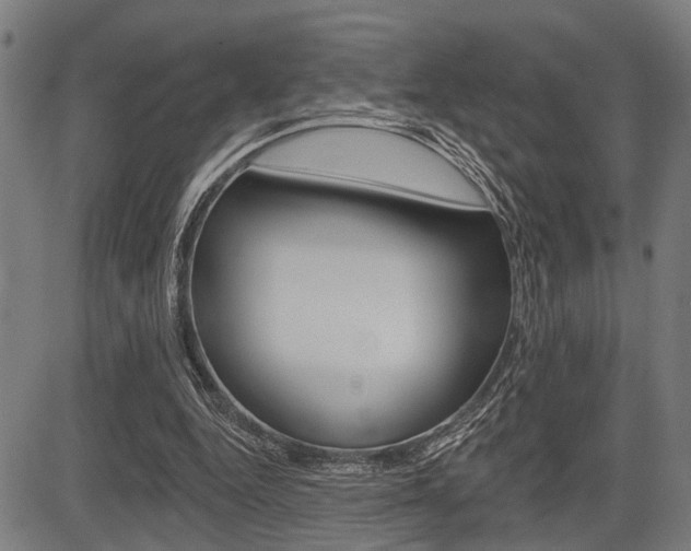X0000083970344200702160733