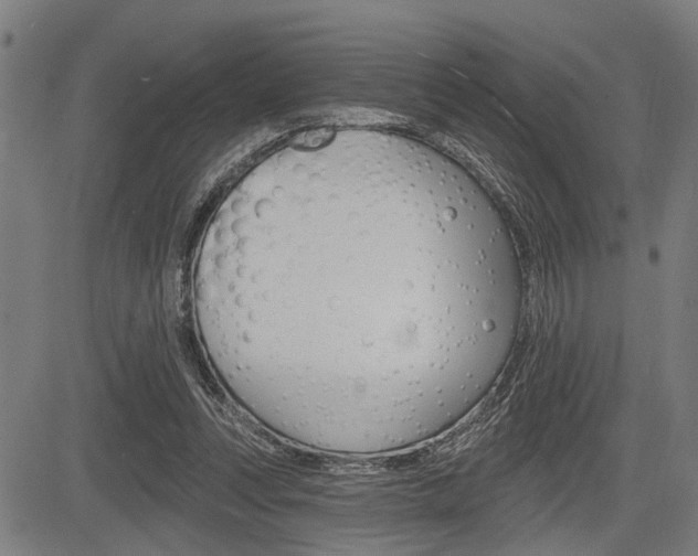 X0000083970351200702160733