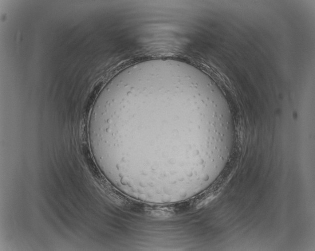 X0000083970359200702160733