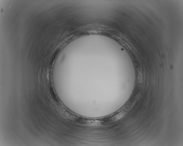 X0000083970363200702160733