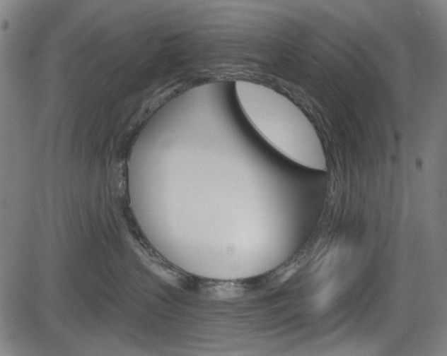 X0000083970383200702160734