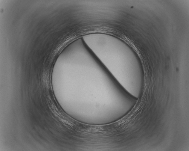 X0000083970386200702160733