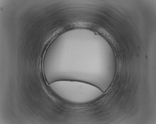 X0000083970398200702160733