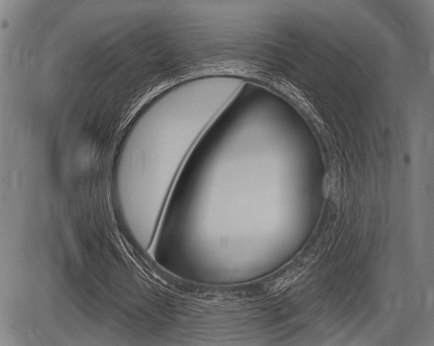 X0000083970434200702160731