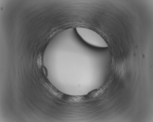 X0000083970479200702160732