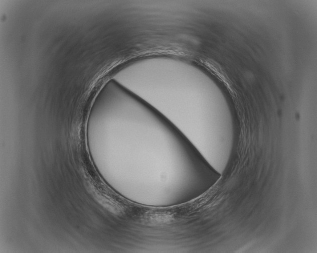 X0000083970491200702160731