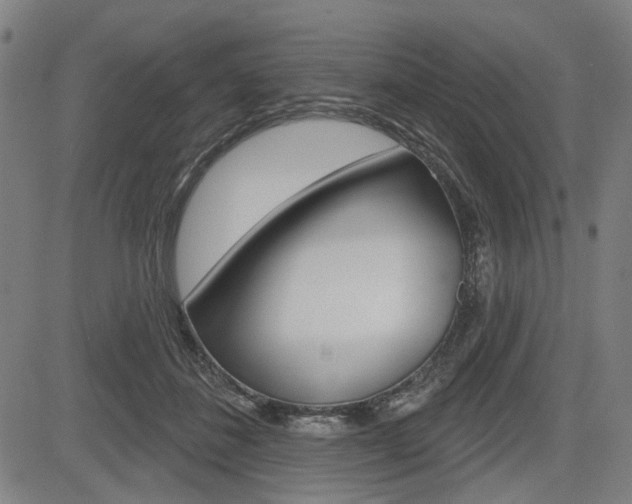 X0000083970508200702160731