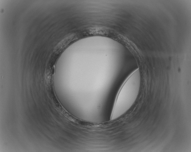 X0000083970513200702160731
