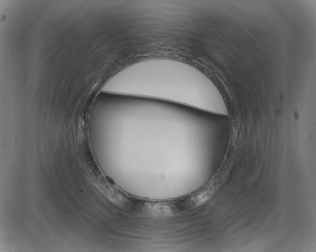 X0000083970520200702160731