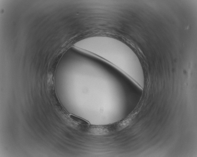 X0000083970521200702160731