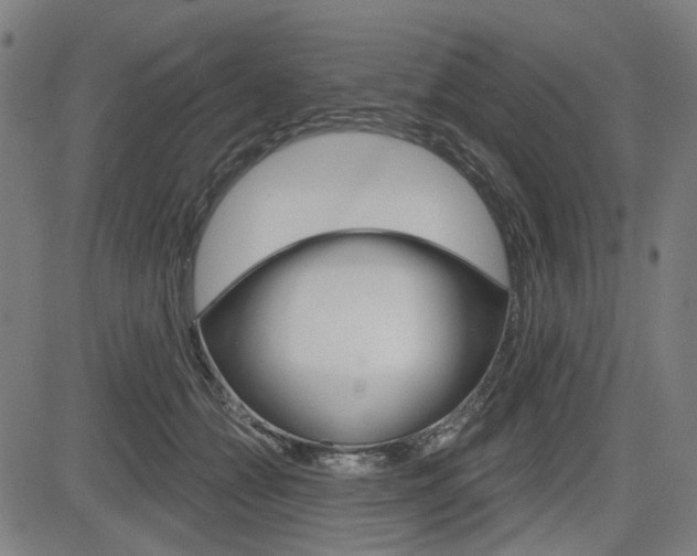 X0000083970558200702160730