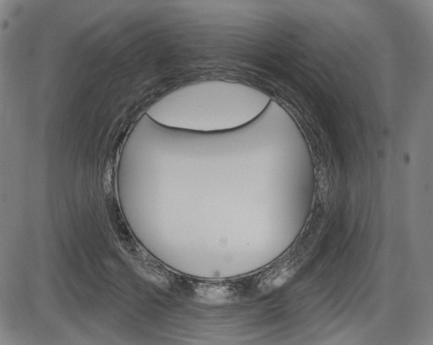 X0000083970602200702160729