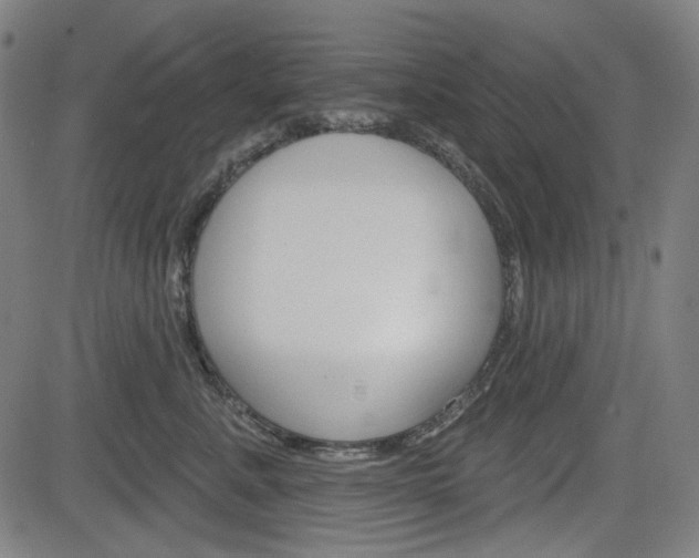X0000083970619200702160729