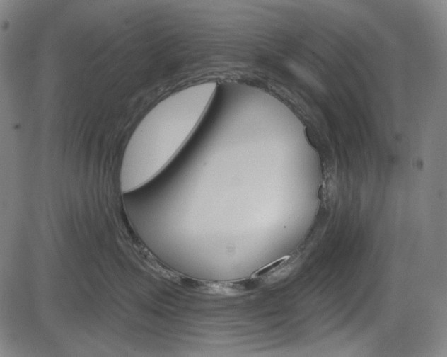 X0000083970623200702160729
