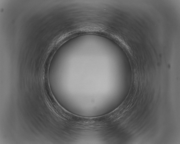X0000083970631200702160728