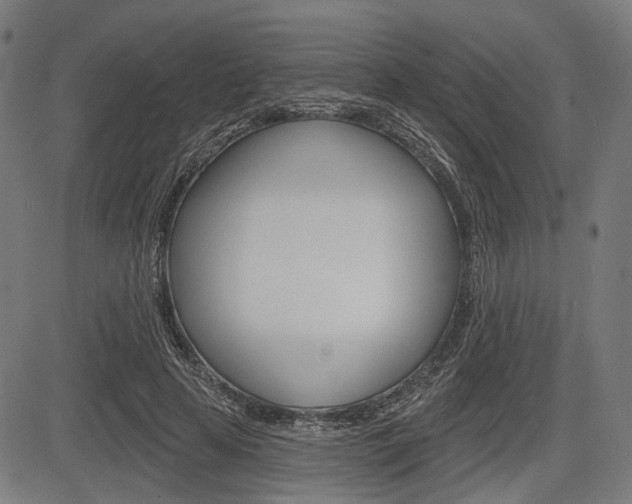 X0000083970641200702160729