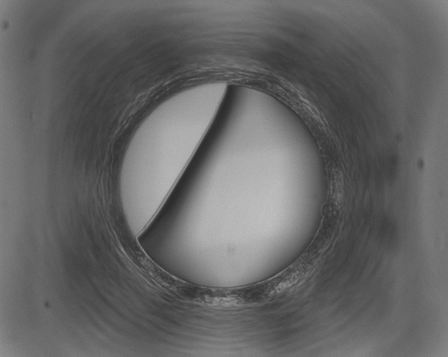 X0000083970645200702160729