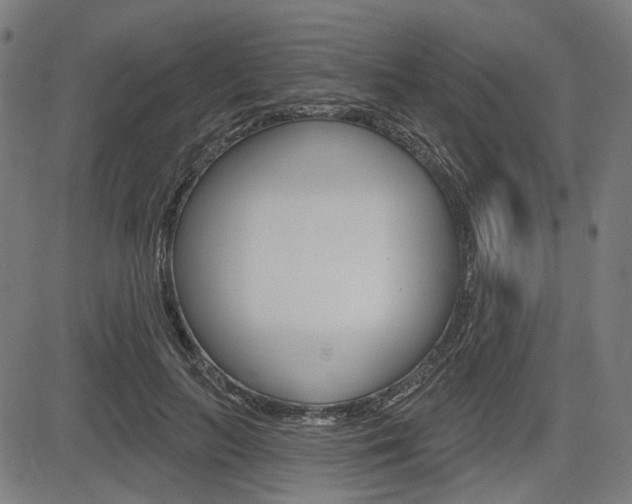 X0000083970647200702160729
